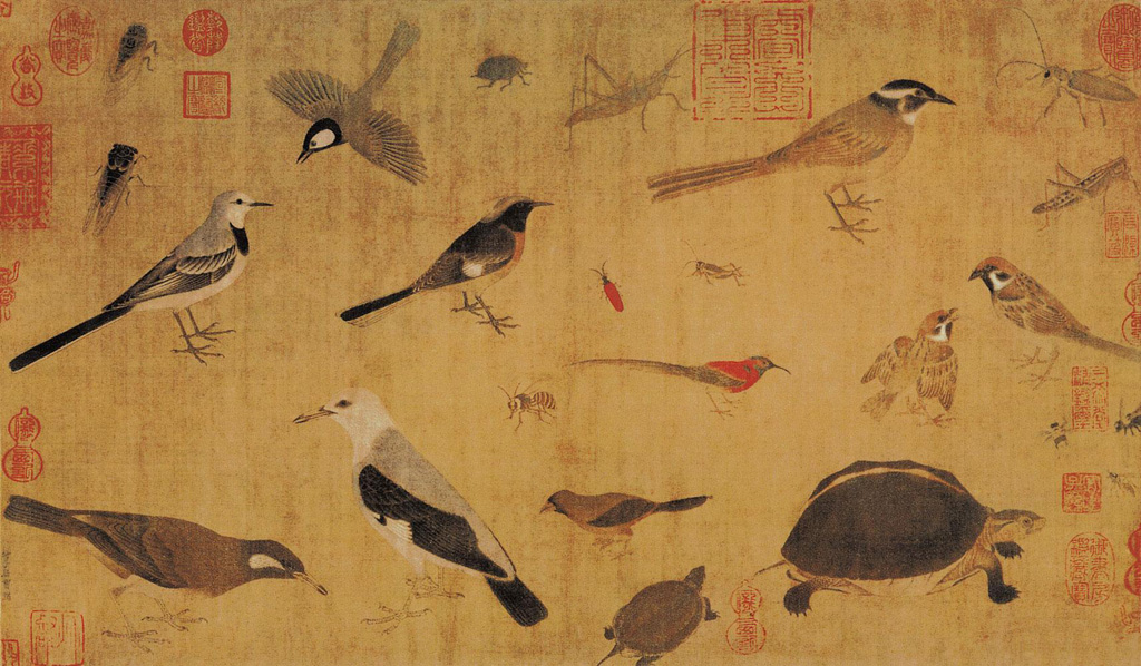 Huang Quan: Birds Sketched from Life