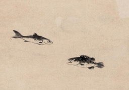 Zhu Da: Double Fish