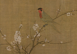 Zhao Ji: Five-colored Parakeet
